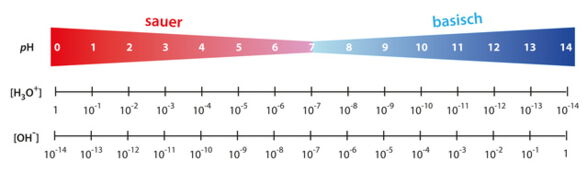 Säure-Basen Therapie in der Naturheilkunde für gesundes Abnehmen.