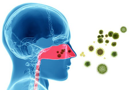 Allergie und Heuschnupfen behandeln mit Naturheilkunde, Heilpraktiker Köthen zwischen Halle und Magdeburg.